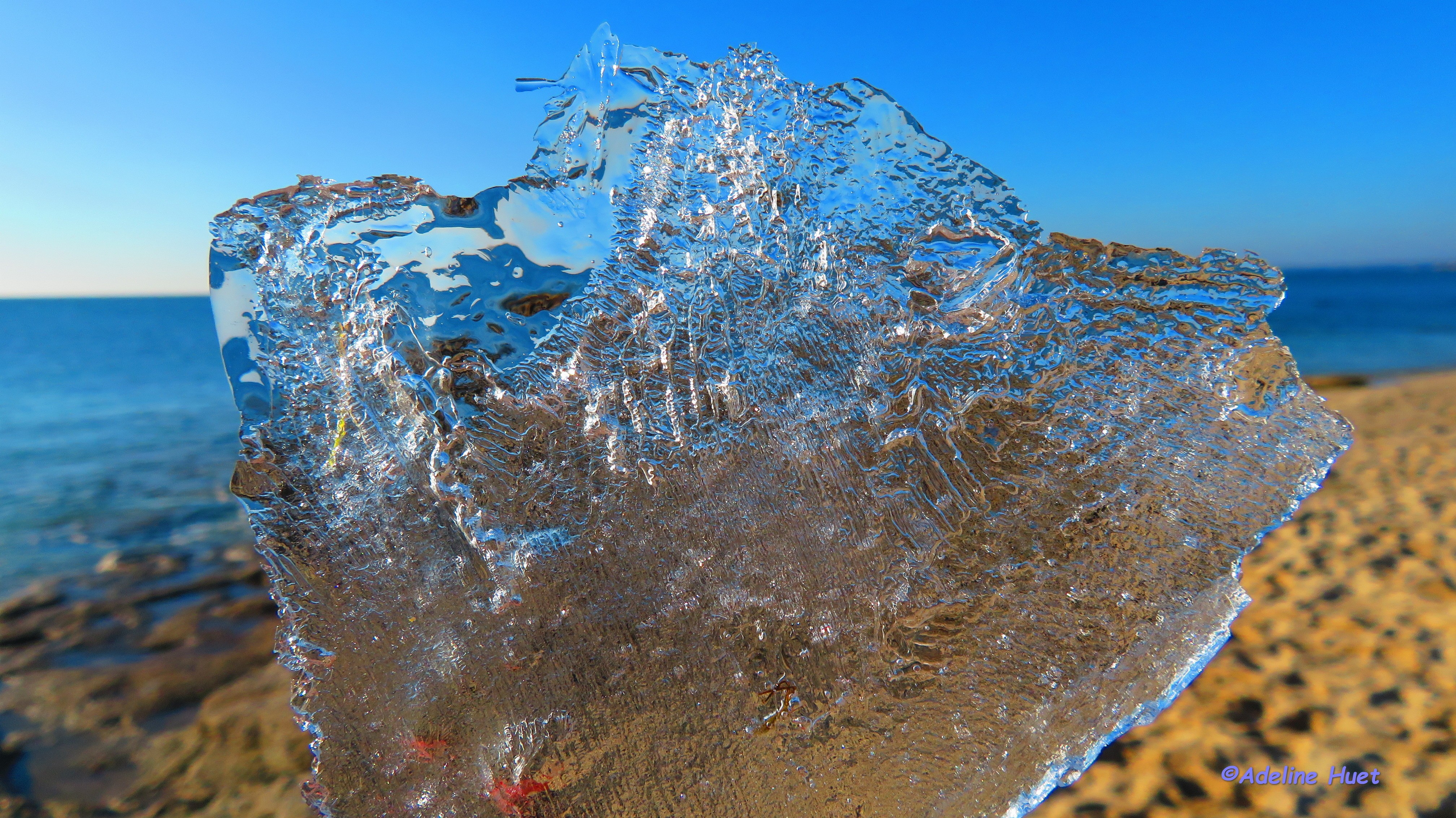 Adeline l age de glace b