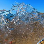 Adeline l age de glace b