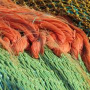 Adeline mouche prise au filet 2