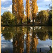 Annic la tete en bas 