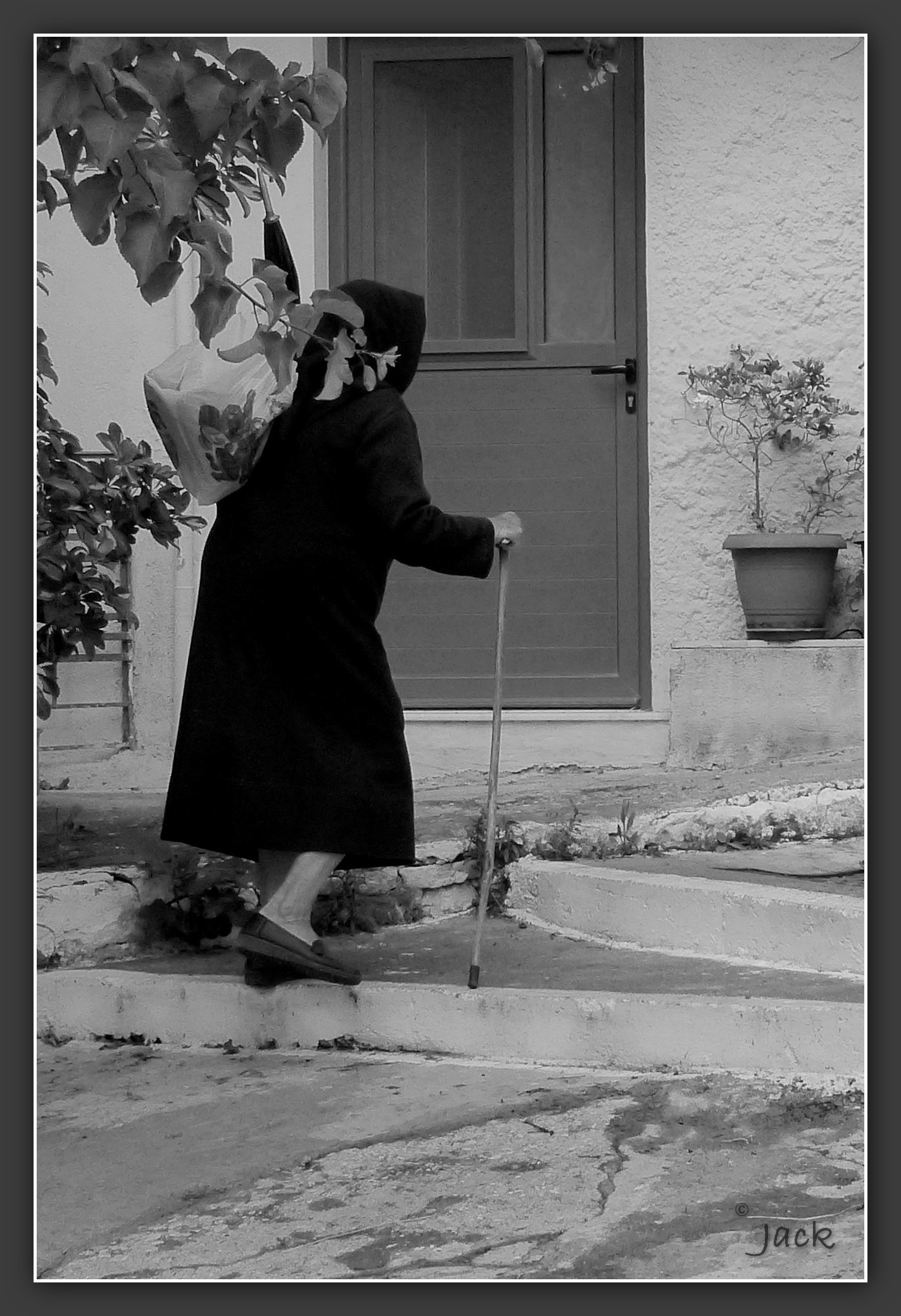 D Jaqueline La Crétoise