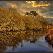 P Corine Marais de Mousterlin