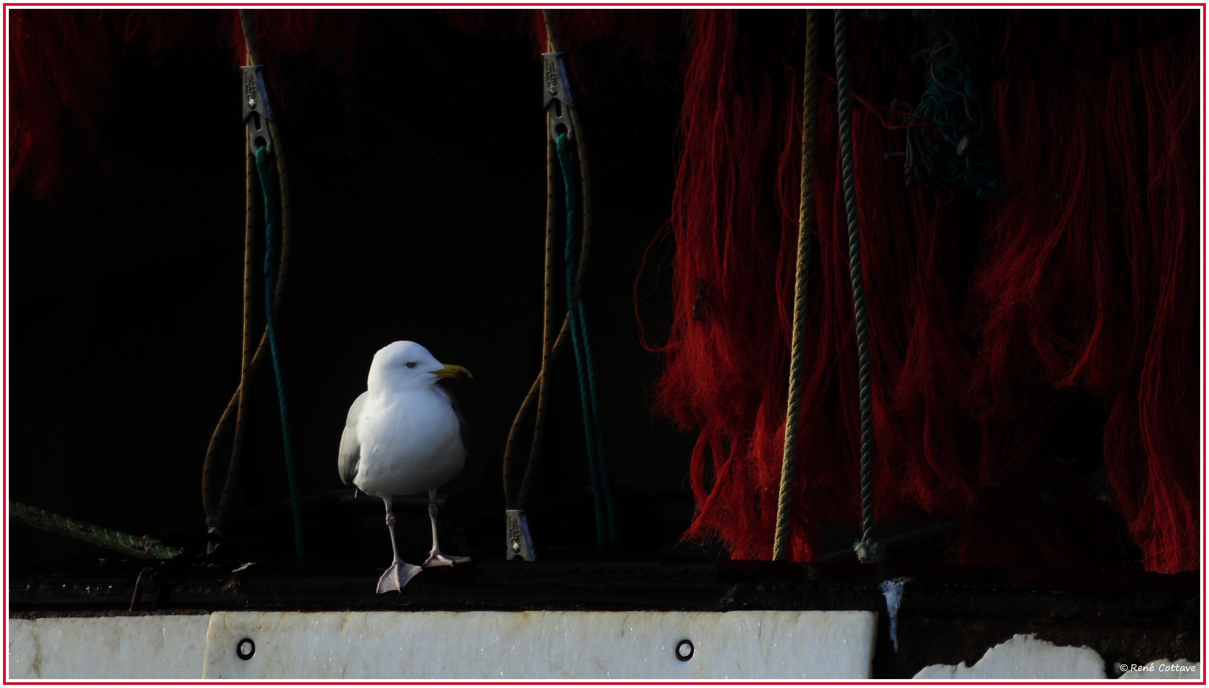 Rene passager clandestin au guil 