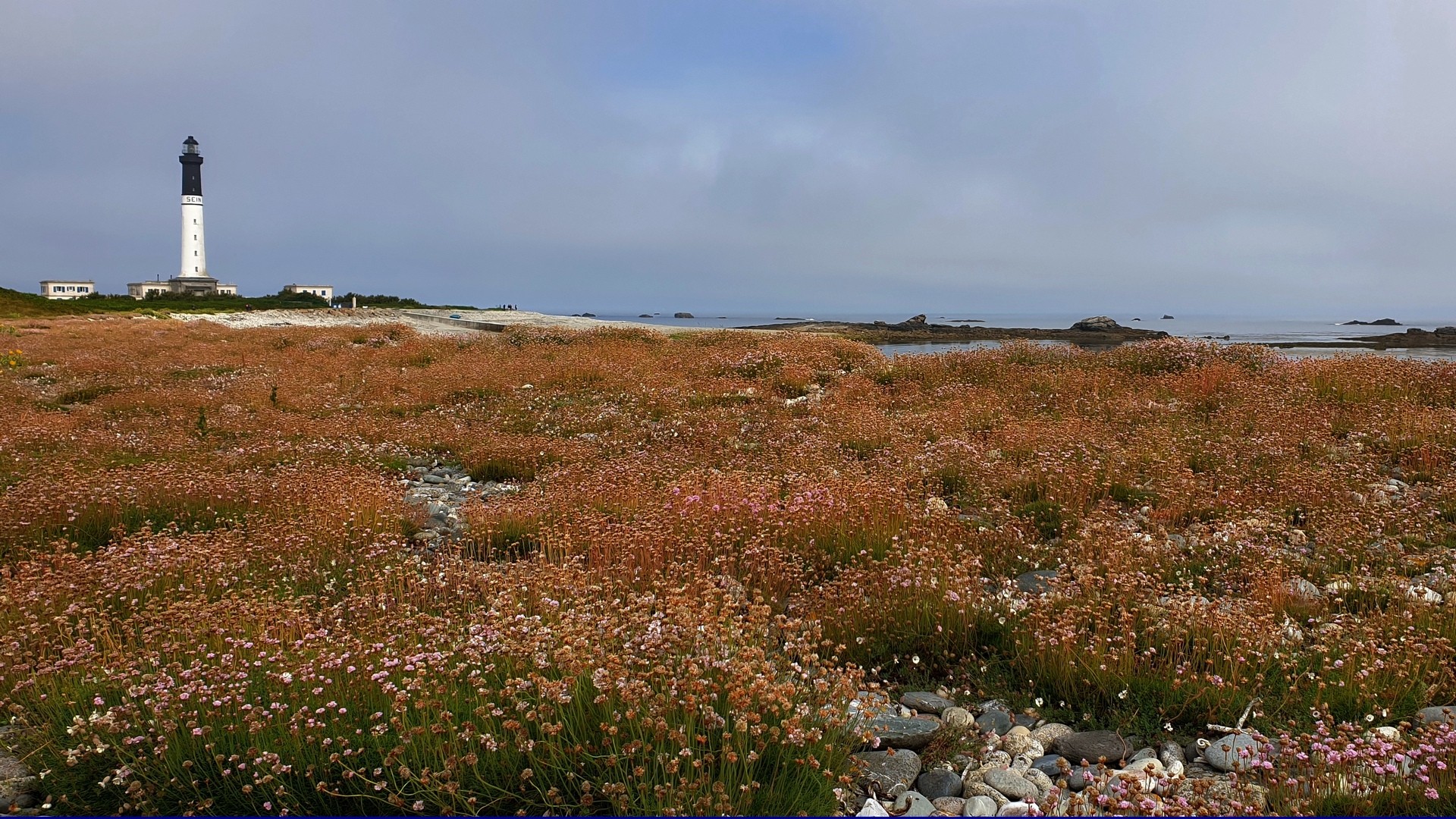 Ronan Divanac île de Sein