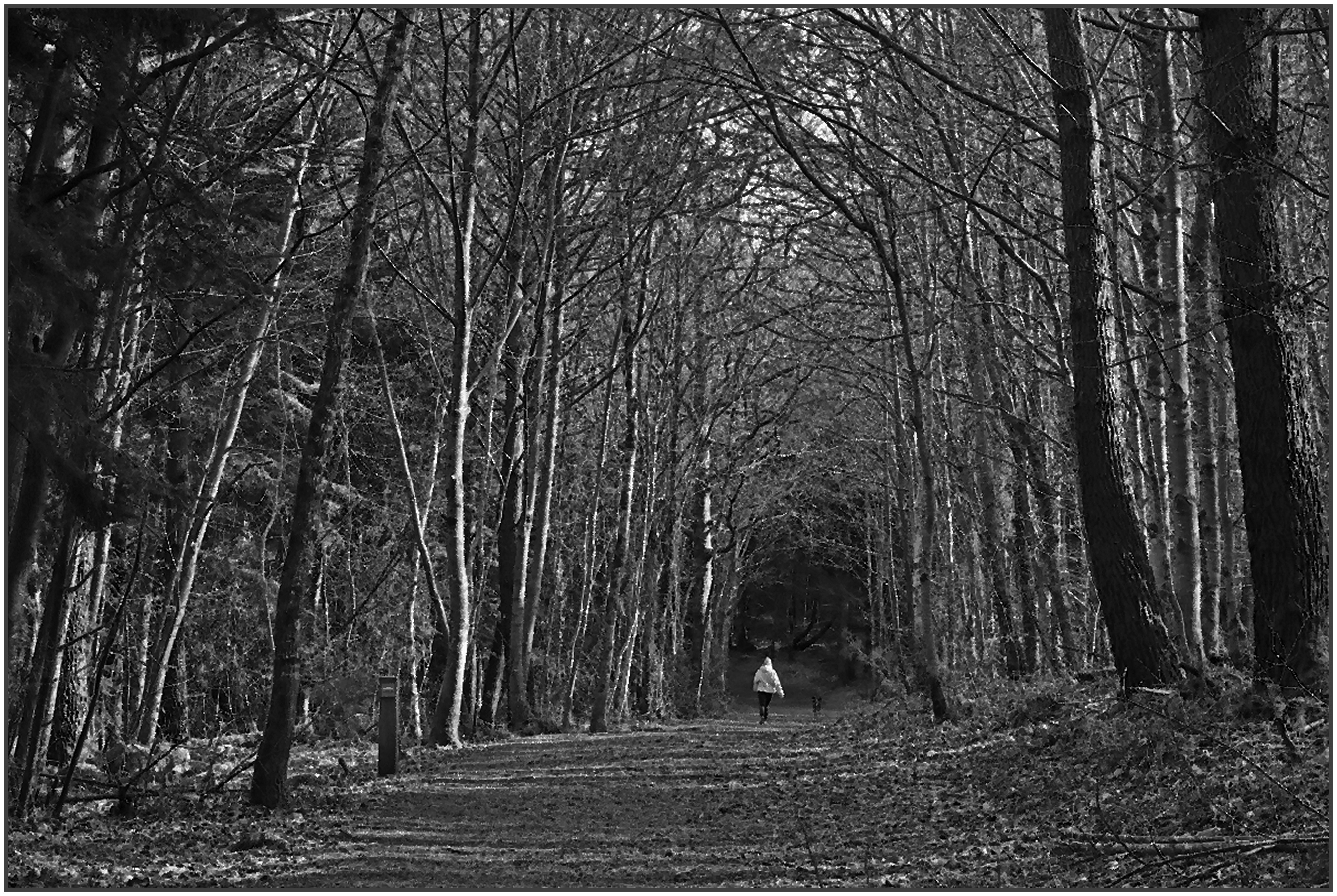 Ronan combrit roscoure le charme du noir et blanc
