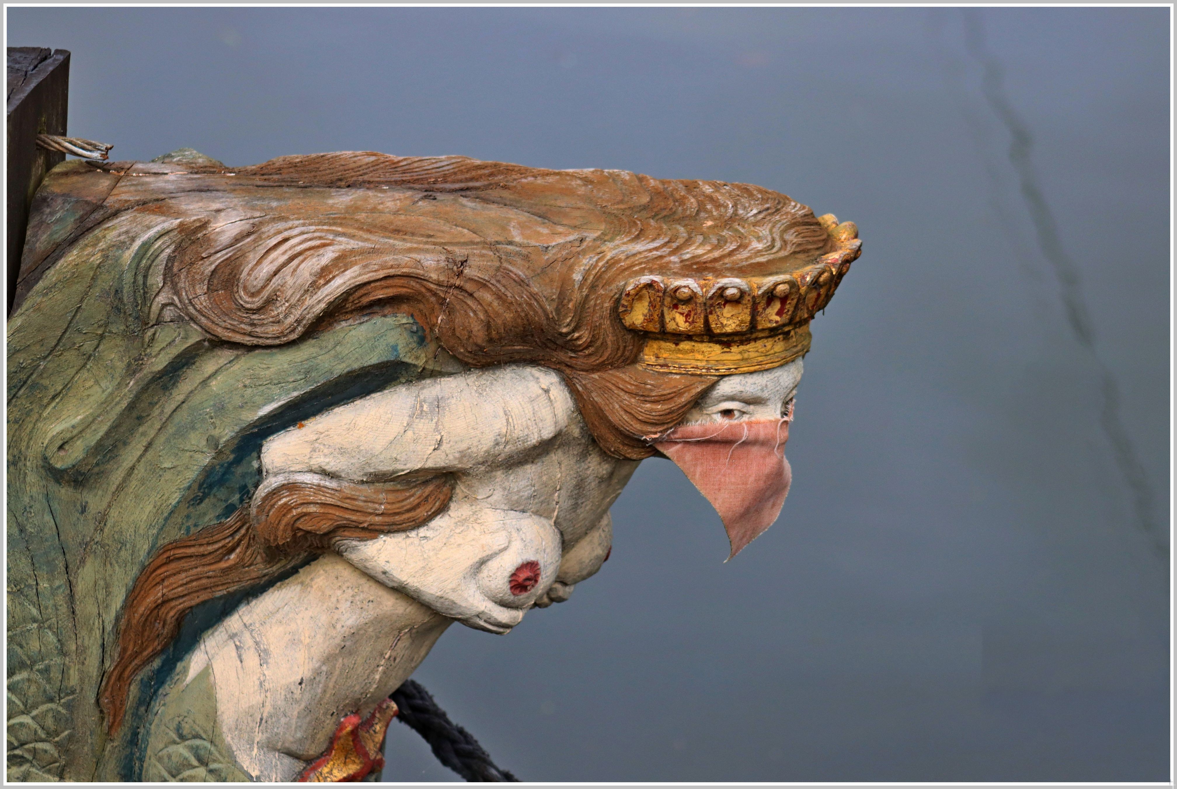 Ronan la proue confinee 