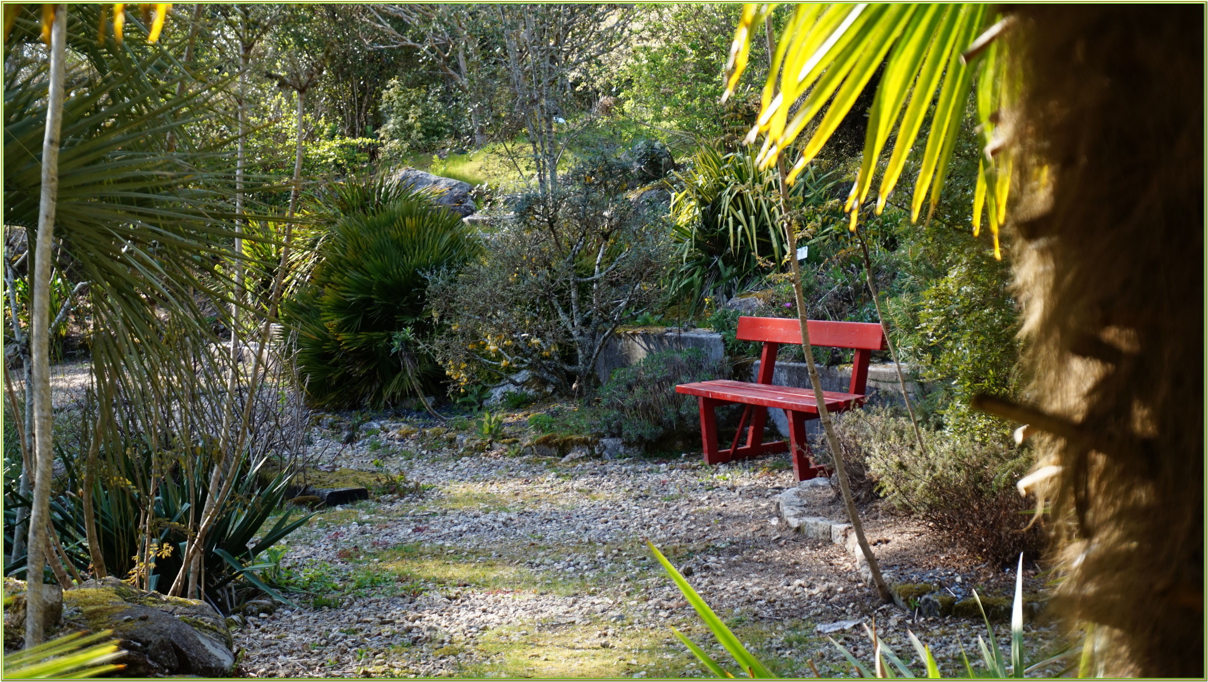 Yvon jardin exotique 