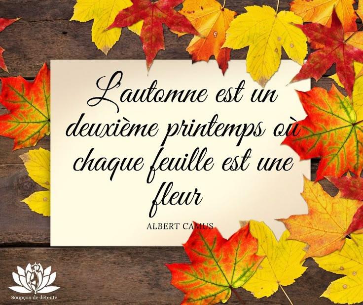 Photo automne
